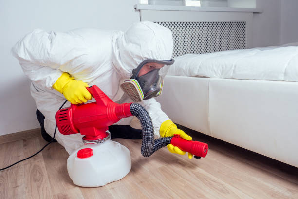 Best Emergency Pest Control  in Whitmore Lake, MI